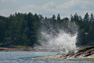 Avanti kausi 2008